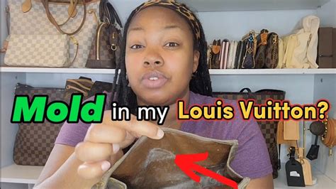 lv bag mold|How to remove mold and mildew from Louis Vuitton! .